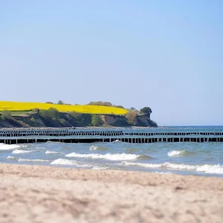 Appartement Papillon Whg 6 1